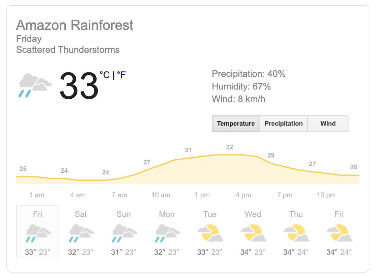 tweetforjackson's tweet image. #PrayforAmazonas #AmazonRainforest #AmazononFire 
Don't take it easy with our Mother Nature. She created humans, but humans are the most shameful creatures ever created by her. Let's save our #MotherNature #AmazonRainforest Finally!! It's raining!!! Lord save us!!!