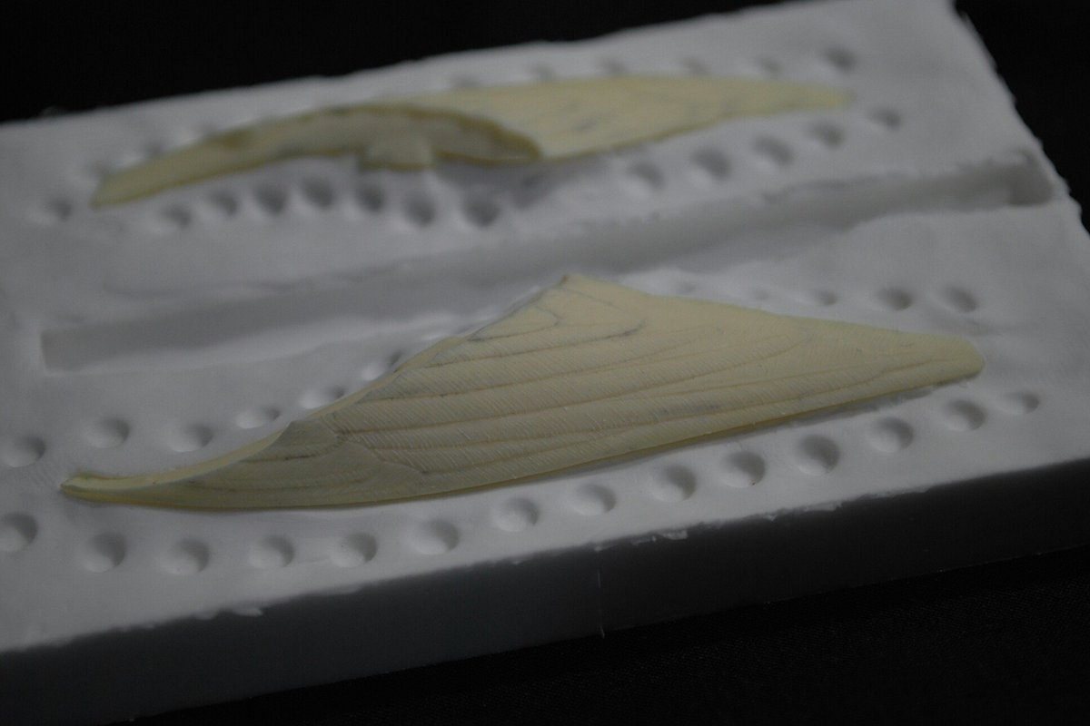 parakeet_art's tweet photo. Ivory colored parts are primary parts. White colored parts are secondary parts. The white parts used make molds. Parts with runners are finished parts.
#feather #Feather #flyingfeather #resin #resincast https://t.co/HnXYNV0X2V