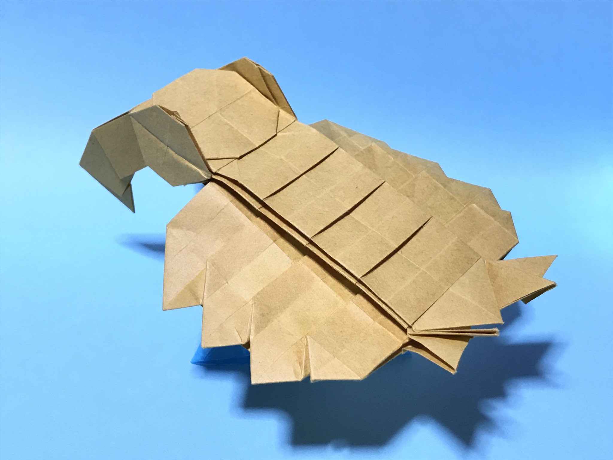 まつもとかずや 折り紙 折り紙作品 Origami アノマロカリス ちびおりシリーズ Chibiori Series Anomalocaris