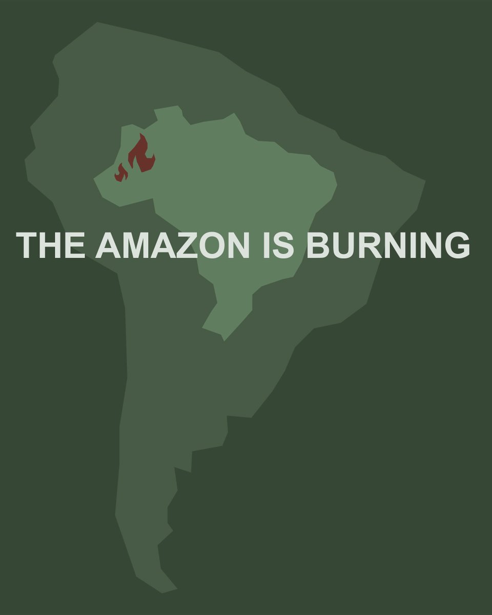 perfspots's tweet photo. We put our energy in so many meaningless things and often discuss meaningless stuff. For once this is a case were you can make an actual impact by simply sharing this information. jump on that retweet button!! #prayforamazonia #amazonie #AmazonFire #AmazonFires https://t.co/NDypAWfvb1