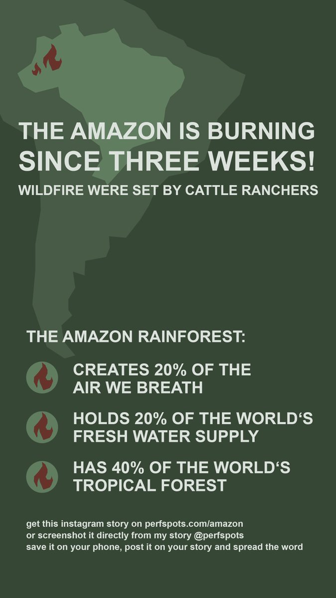 perfspots's tweet photo. We put our energy in so many meaningless things and often discuss meaningless stuff. For once this is a case were you can make an actual impact by simply sharing this information. jump on that retweet button!! #prayforamazonia #amazonie #AmazonFire #AmazonFires https://t.co/NDypAWfvb1
