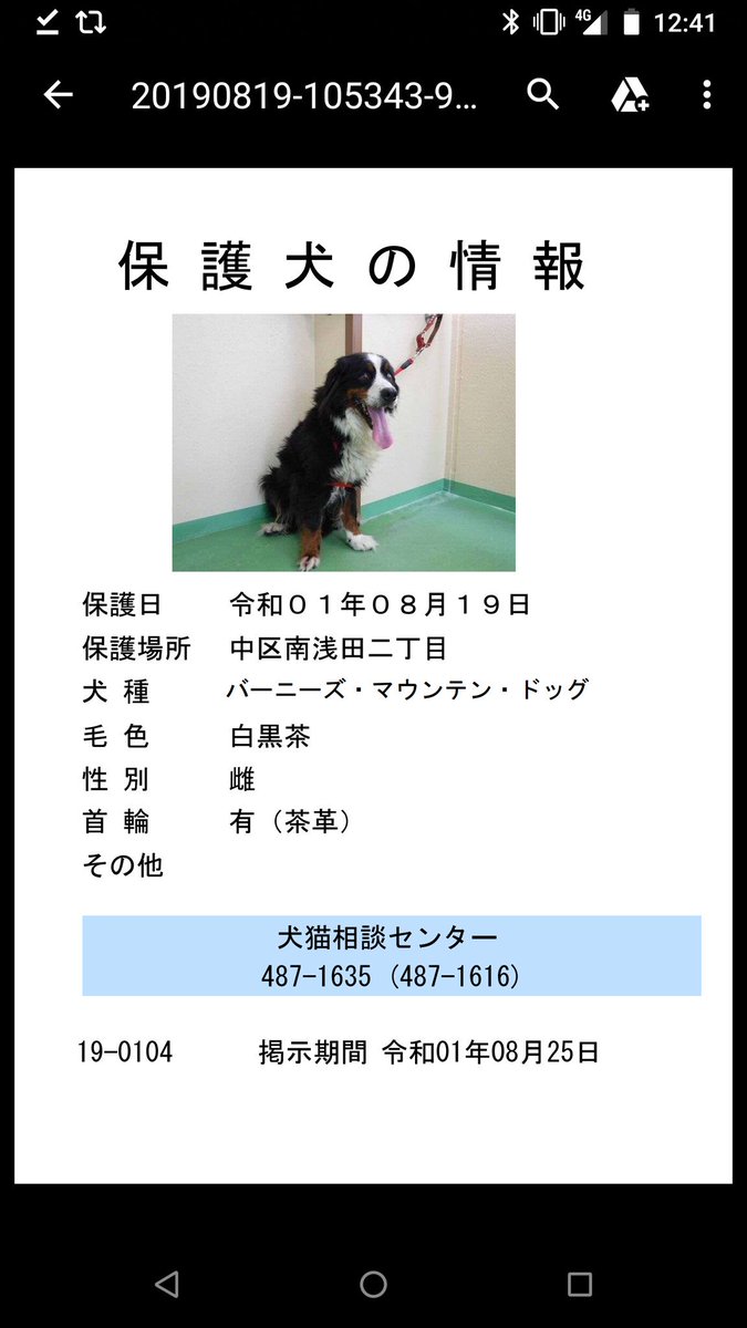 バーニーズマウンテンドッグ犬 Twitter Search Twitter