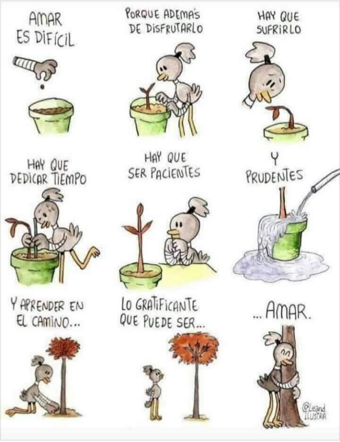 #Territori #MediAmbient #Montcada #Reixac (@mediambient_mir) on Twitter photo 