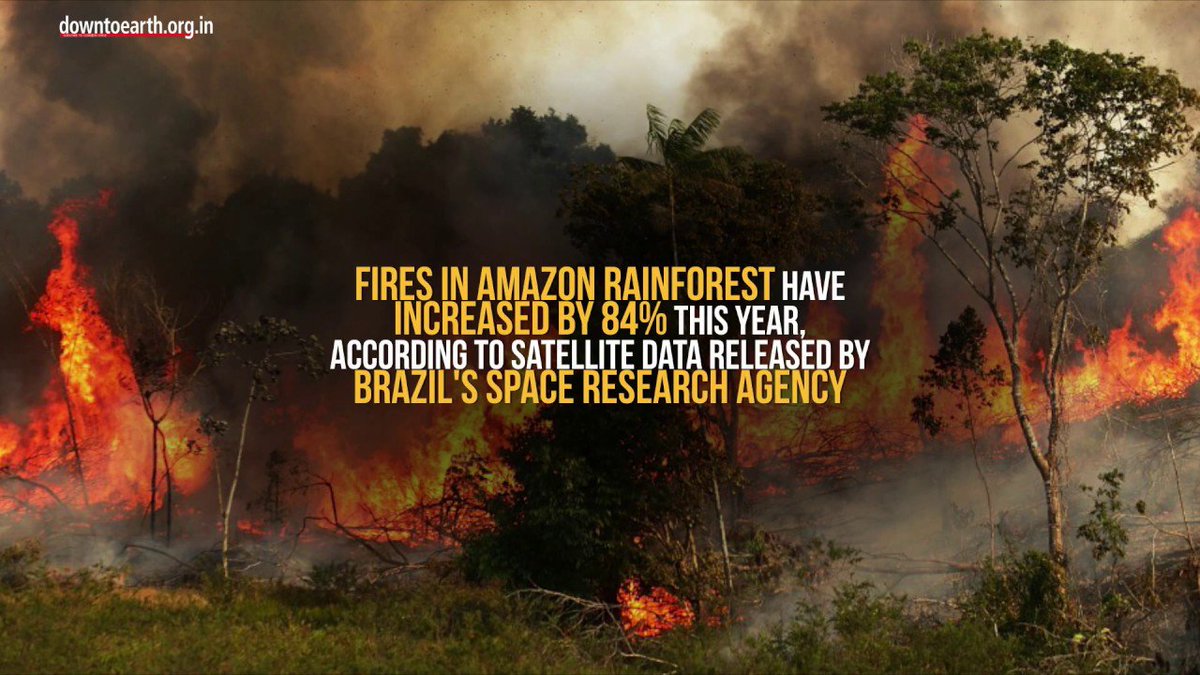 Sunandhaspeaks's tweet image. பன்னாட்டு நிறுவனங்களுக்கு வனங்களைப் பங்குப்போடும் இடைத்தரகர்களாக அரசாங்கங்கள் உலகம் முழுவதும் செயல்பட்டு வருகிறது. அமேசானிலும் சரி, குரங்கணியிலும் சரி, வனக்காவலர்களாக இருக்கும் பூர்வக்குடியினரை அப்புறப்படுத்துவதே தீ உருவாக்கப்பட்டுள்ளது என்பது நிதர்சனம்.
#amazonforestfire 
#ntk