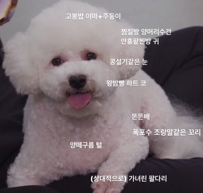 태라 tweet media