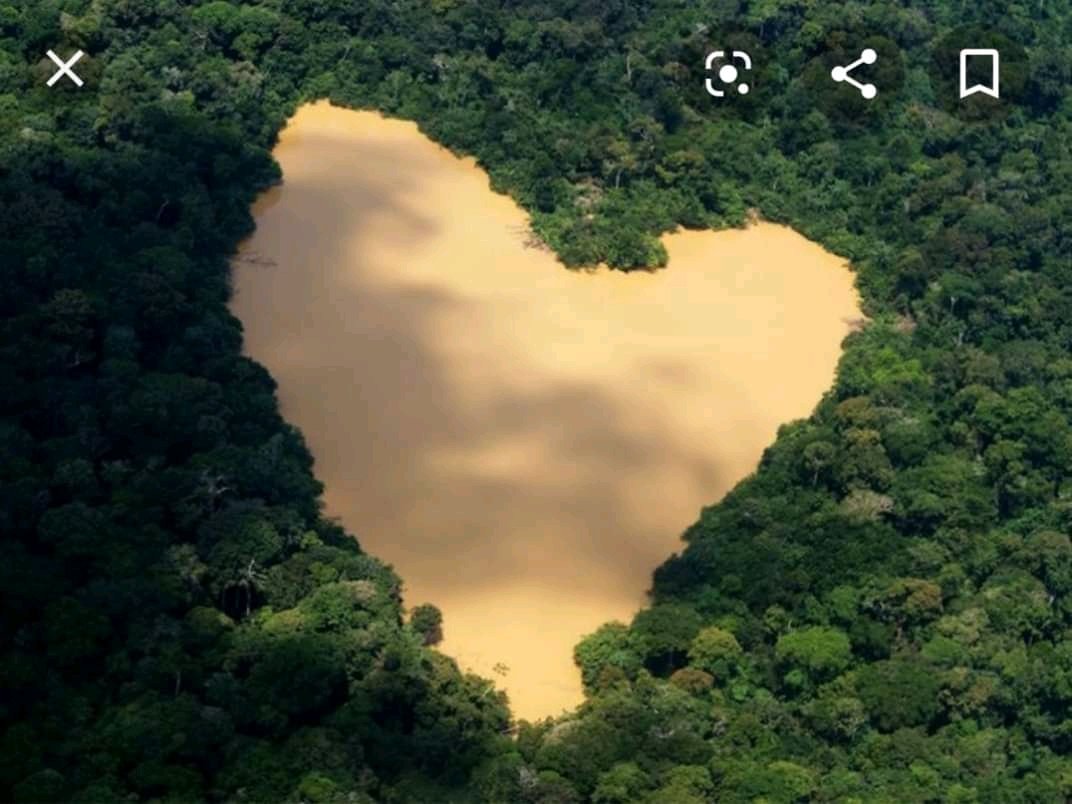 yenlam0712's tweet photo. Hãy cứu lá phổi xanh của Trái Đất ❤❤ 
#ARMYHelpThePlanet 
#AmazonRainforest 
#PrayForTheAmazon https://t.co/XVEWF8WUzN