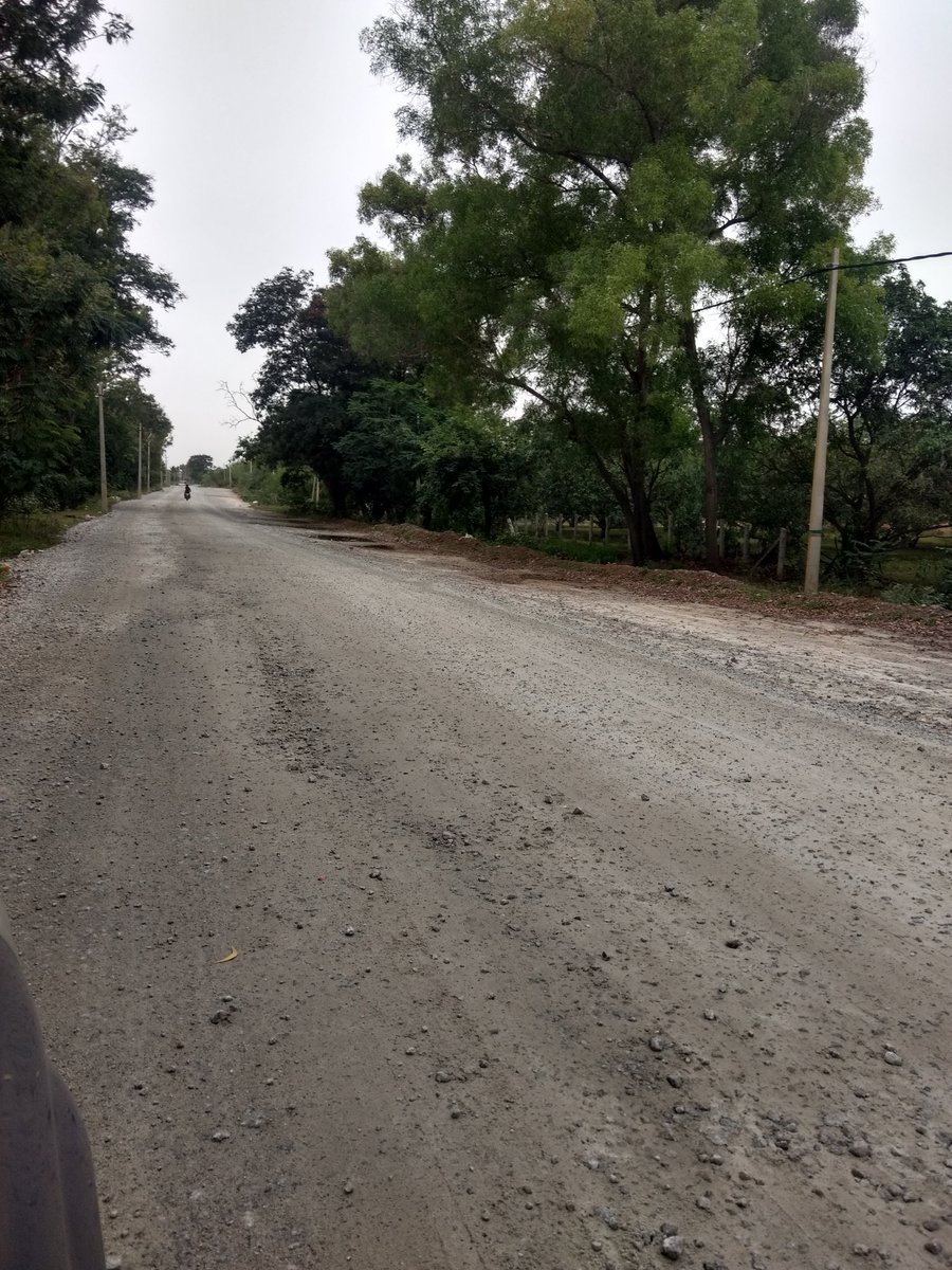 shashank tweet media