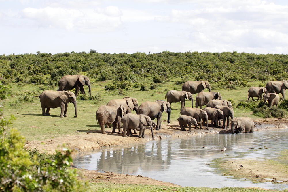 download tourism and intercultural exchange why tourism