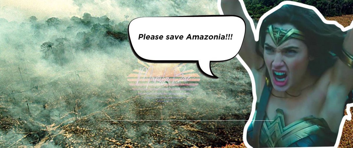 manilabaeph's tweet photo. #ActForAmazonia https://t.co/Lr0MGefF46