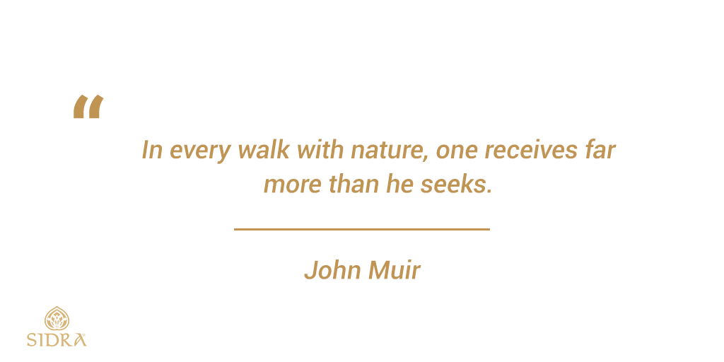 GlobalSidra's tweet photo. Let nature be part of your journey to health and wellness, and enjoy the perfect effect it can provide. Choose to be beautiful. Turn to organic products today!
.
.
.
#organicproducts💚 #organicmedicine #healthylifestyle✔️ #organiclifestyles #organicnature #plantbasedproduct https://t.co/ds1oHA6HKB