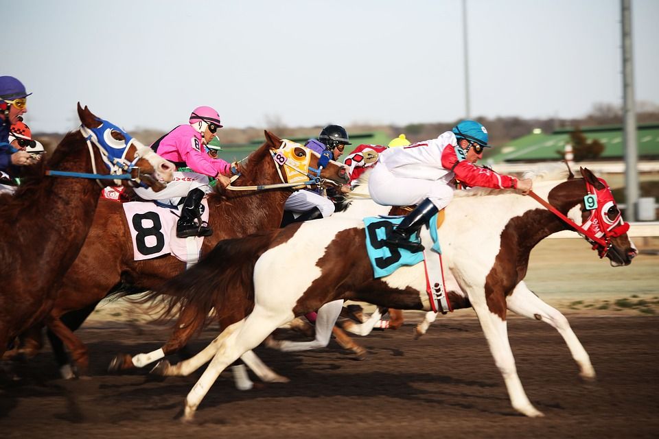 StakeStudio's tweet photo. "Horse racing is animated roulette." Roger Kahn

#horseracing #fordsonmajor #tractors #oldgirl #eprc #waracing #newman #reddirt #pilbara #rwwa #Harzand #agakhanstuds #agakhanstallions #successbreedssuccess #horses #surebet #surebets #equestriangambling #horsegambling https://t.co/Qjg30XfBzZ