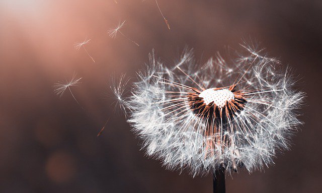 MethodistGB's tweet photo. #Prayer of the day:
Blow away all within us that is unworthy, enliven all that brings hope and joy,
and fill us again with courage and boldness to proclaim the gospel.
https://t.co/Bvheap4vJX https://t.co/oFqSMdBGKa