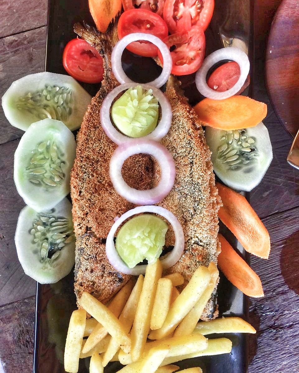DpedroInn's tweet photo. Try our new fish dish...stay at Dpedro Inn with special offer. Have look at offers section. #chefspeciality #dpedroinn #Mandrem #Goa https://t.co/wfLvX7PfhB