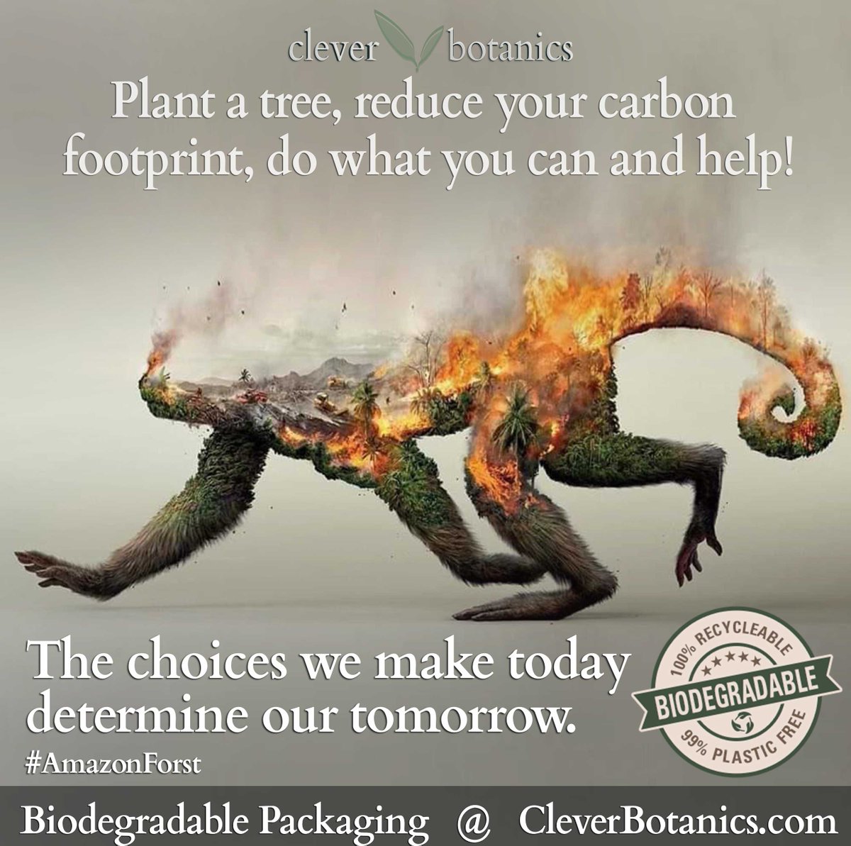 cleverbotanics's tweet image. Plant a tree, reduce your carbon footprint, do what you can and help!
#AmazonForestFire
The choices we make today determine our tomorrow.
cleverbotanics.com
Shop @CleverBotanics
#BankHolidayWeekend #AmazonForest
#FullSpectrumCBD #CBDOil #CBD #Cannabis #EdenAromata #Hemp
