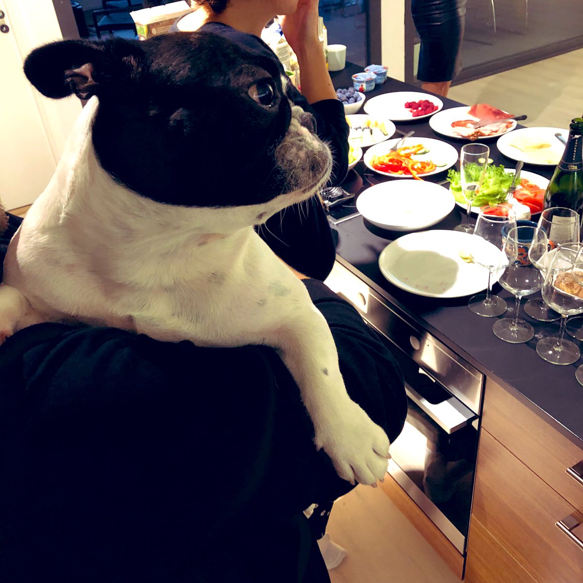 Anteeksi työtoverit, aamiaispöydästänne taisivat unohtua koirankupit 🧐 #mikähomma