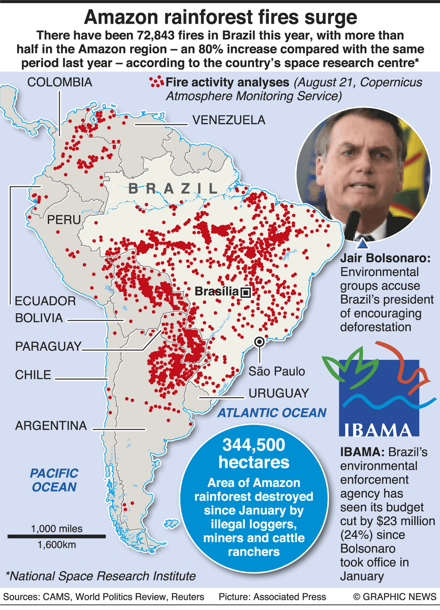 noplanetbfest's tweet photo. Simply shocking. This infographic speaks for itself. #prayforamazonia #savetheamazon #SaveTheAmazonRainforest https://t.co/W7fo5fBnRx