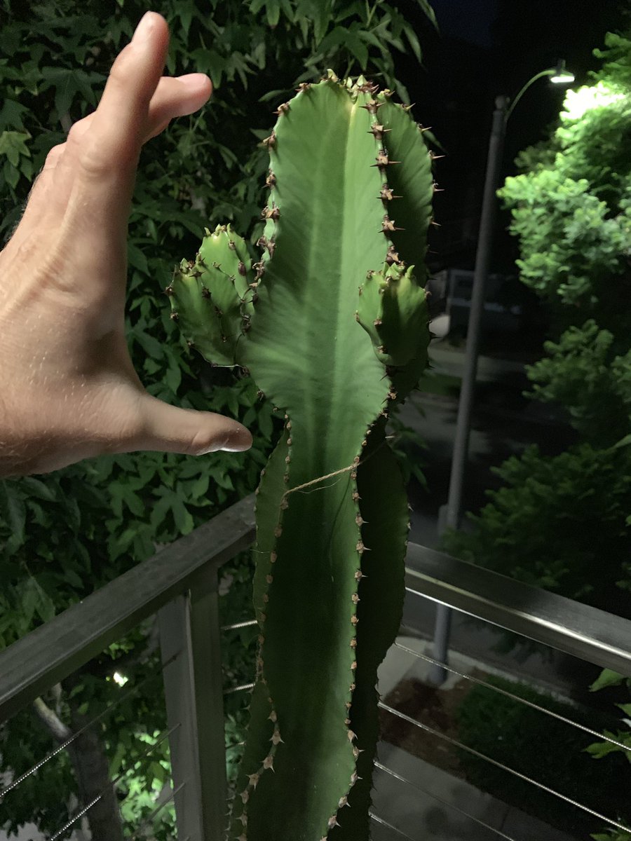jakefessenden's tweet photo. My baby grew SO much in just a few weeks 🤓🥳 https://t.co/Axz2a86h6m