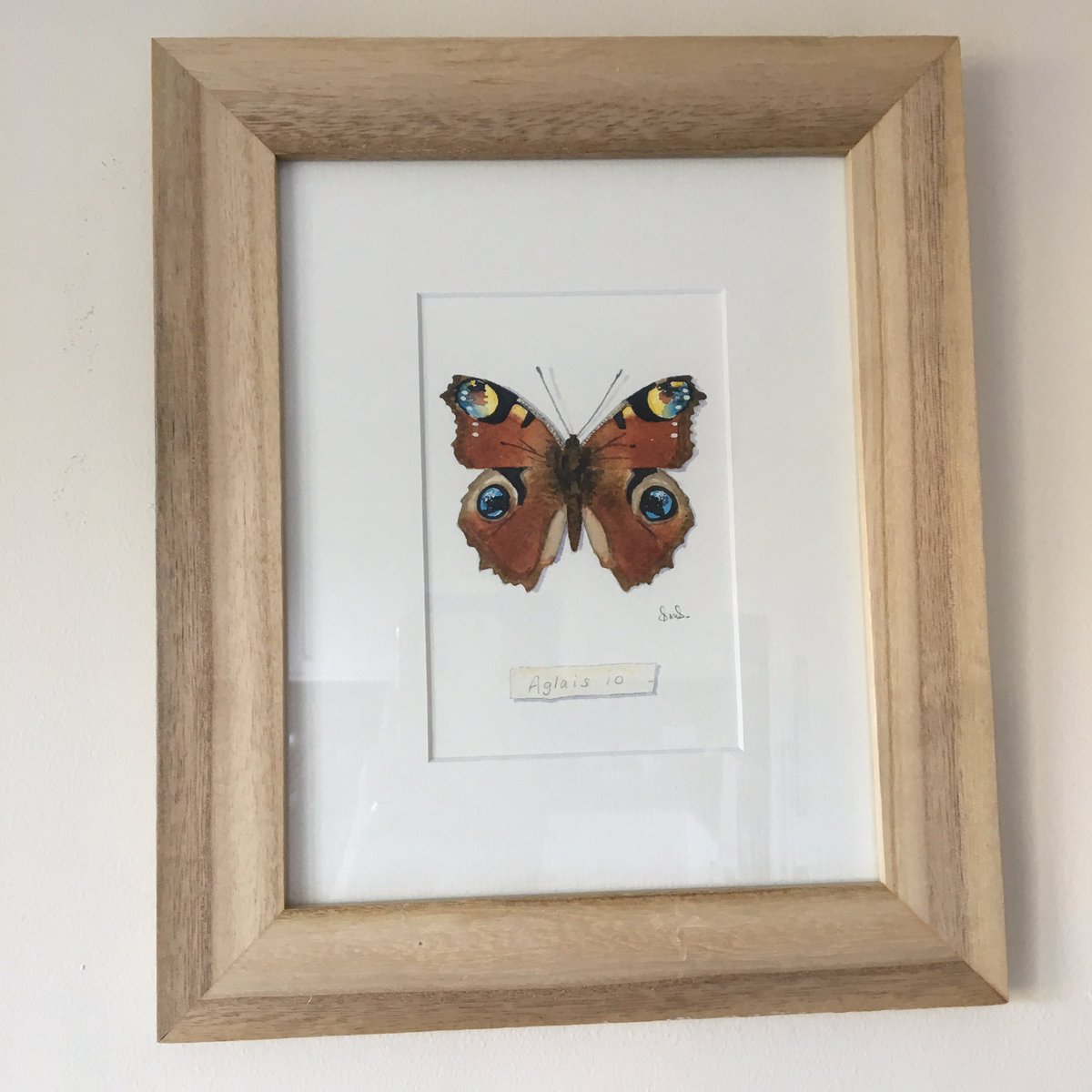 Original watercolour of Peacock butterfly. #aglaisio #sussex #artist