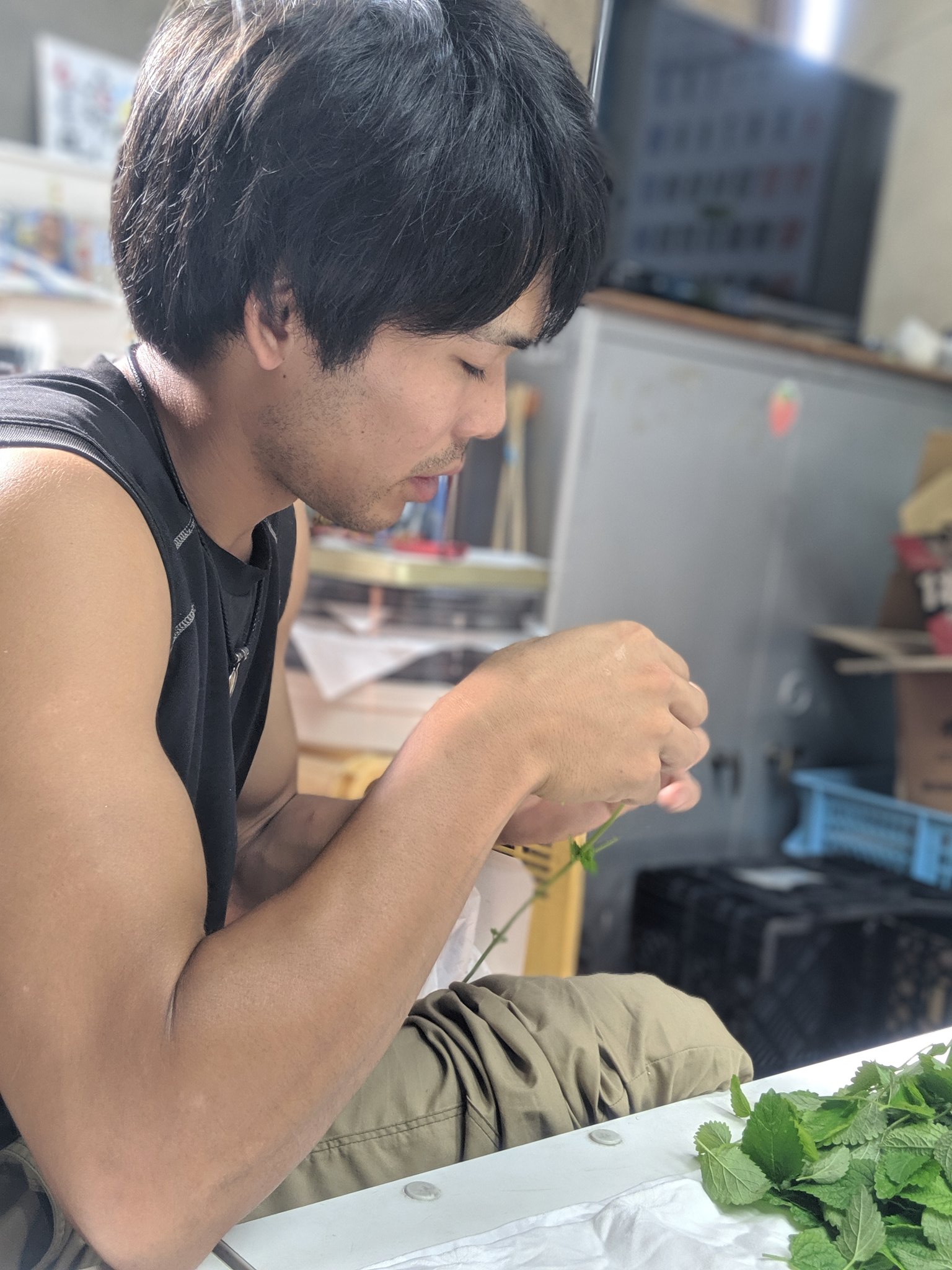 تويتر まーくん 福岡で頑張る専業農家 على تويتر 腕の筋肉ムキムキｗｗ 優しく葉っぱを取り扱ってます ゴールデンウルヴス福岡 野口智秀 伊藤極 江藤類 ハンドボール 農業 イチゴ 唐辛子 ハーブ 研修生 農業研修 なんでもチャレンジ くわの農園
