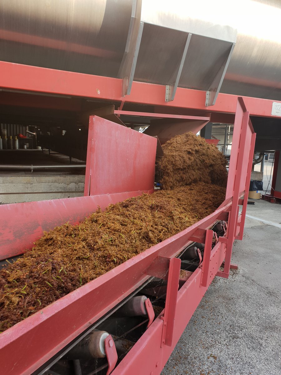 VINCOwine's tweet photo. La #vendemmia🍇è come il maiale: non si butta via niente. Parola di cantiniere!
- Con i residui si fa la grappa, vero? 
- Non solo… dopo aver estratto il residuo alcolico, coi vinaccioli si fa l’olio; con le bucce, mangime per gli animali. 
- Ah.👀
#tuttositrasforma #sapevatelo https://t.co/HQo1LiTT8G