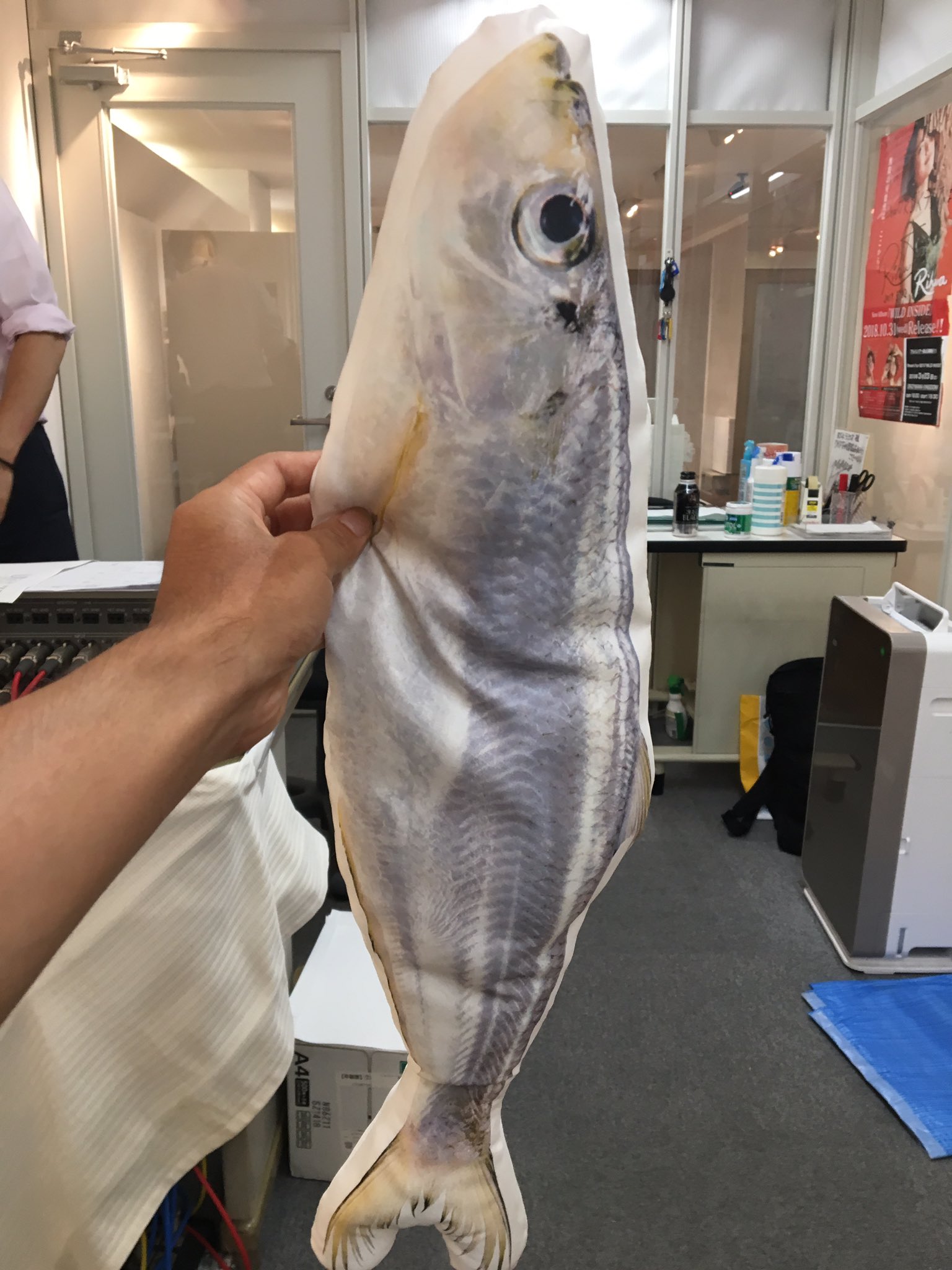 坂本大輔 パーソナリティ 先日のあもーれマッタリーノ お魚かたりべの森下さんに ヒラについてお伺いしました 皆さんヒラ 食べたことありますか 細かい骨がありますが 骨切りをしっかりすると美味しくいただけます 今回は練り物やお刺身 なめろう 坂本大輔 パーソナリティ 先日のあもーれマッタリーノ お魚かたりべの森下さんに ヒラについてお伺いしました 皆さんヒラ 食べたことありますか 細かい骨がありますが 骨切りをしっかりすると美味しくいただけます 今回は練り物やお刺身 なめろう