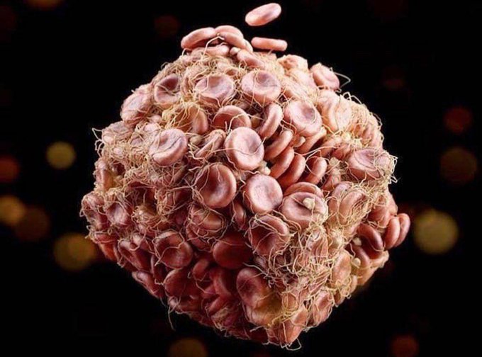 Зображення