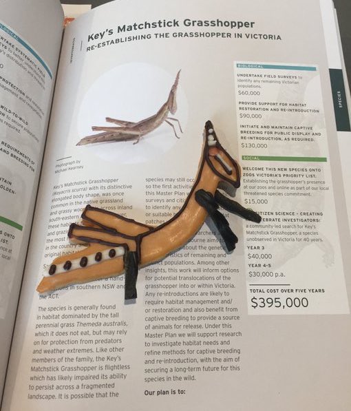 Nicole Kearney (@nicolekearney) on Twitter photo It's #TSBakeoff time again! So far my favourite entry is Dr Helen McCracken's (<a href="/ZoosVictoria/">Zoos Victoria</a>) Key's Matchstick Grasshopper, which has only just been listed as a threatened species - the result of efforts by Ary Hoffman & @ecophys (<a href="/unimelb/">University of Melbourne</a>). 🦗 via <a href="/TSCommissioner/">@TSCommissioner</a> It's #TSBakeoff time again! So far my favourite entry is Dr Helen McCracken's (<a href="/ZoosVictoria/">Zoos Victoria</a>) Key's Matchstick Grasshopper, which has only just been listed as a threatened species - the result of efforts by Ary Hoffman & @ecophys (<a href="/unimelb/">University of Melbourne</a>). 🦗 via <a href="/TSCommissioner/">@TSCommissioner</a>