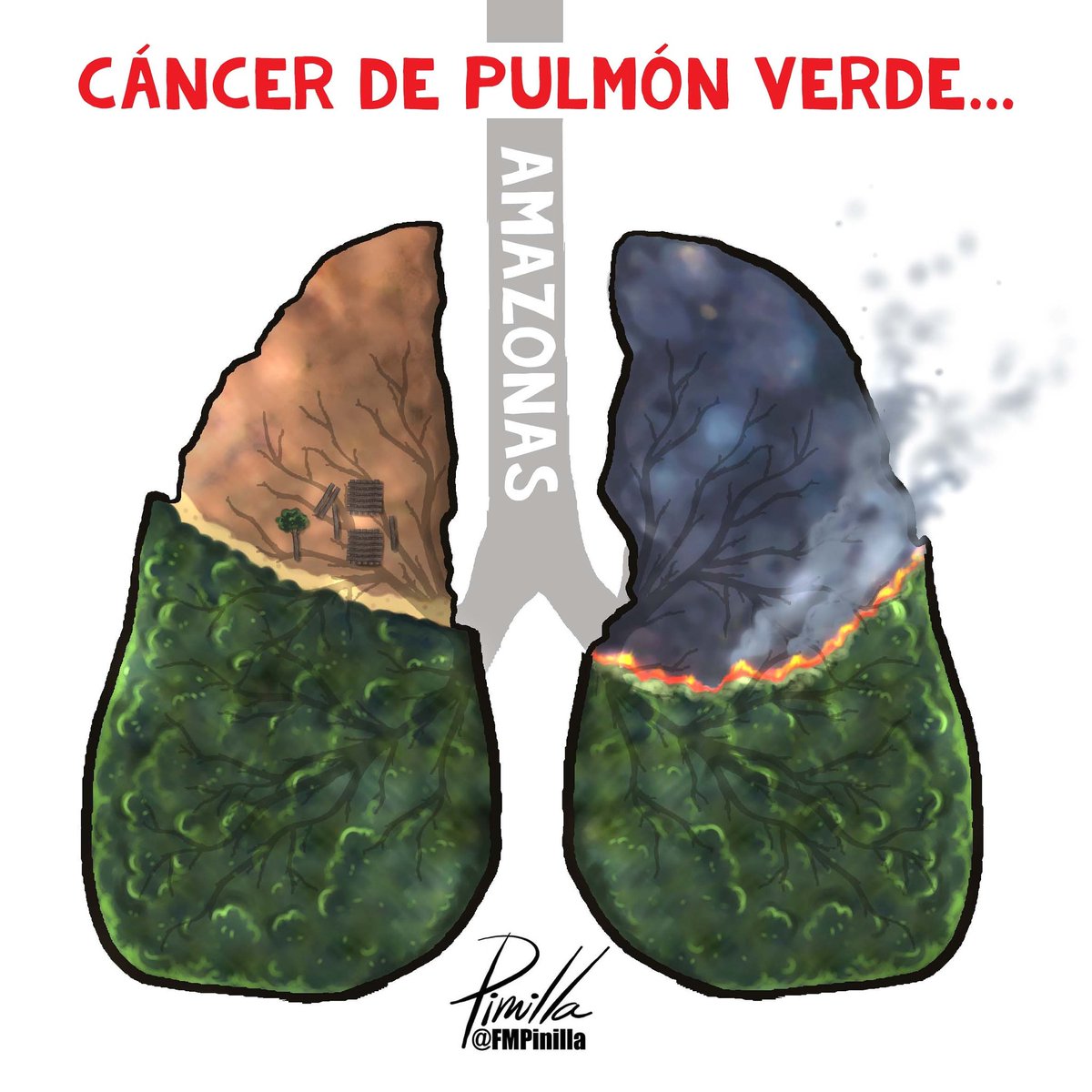 FMPinilla's tweet image. Cáncer del pulmón verde... #AmazonasSOS!! #dibujolibre para @DLasAmericas. #SalvemosAlAmazonasZK #Amazonas  @FSC_Spain @ONU_es @NTN24 @NoticiasCaracol @EFEnoticias @ELTIEMPO @nytimeses @OGlobo_Rio
