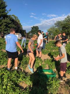 HPSEagles's tweet photo. On Thursday, the high school marching band took time out from their practices to help Kid's Food Basket pick fresh vegetables from their garden.  The harvest promotes food equity and break down barriers of poverty and hunger.  #FireUpGoEagles  #KidsFoodBasket https://t.co/o5MuJYRQhS