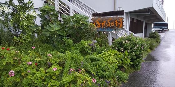 ゲストハウス人生の楽園 ぽかぽか村 本日 明日も 満室でのご利用誠にありがとうございます T Co Vkon5akggz