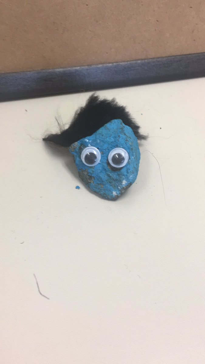Our pet rock <a href="/patriciaherr2/">Patricia Herr</a> <a href="/RobertsonsPride/">Hayley Robertson</a> <a href="/LCPSScience/">LCPS Science</a>