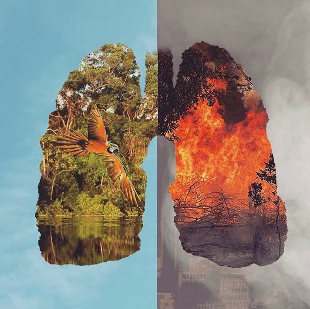 mads_khanna's tweet photo. 20% of our planets oxygen!!!! #PrayForTheAmazon #AmazonForest #AmazonFires https://t.co/U7kuuwWJXs