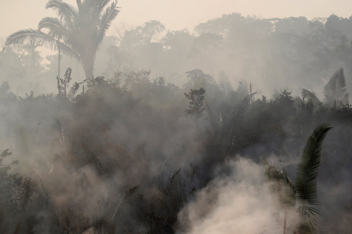 ajplus's tweet photo. There have been 2,500 new fires in the Amazon in the last 48 hours.

The world's largest remaining rainforest has faced:

▪️ At least 9,500 fires since last Thursday
▪️ An 83% increase in forest fires over 2018 https://t.co/ui8AL3TqeR