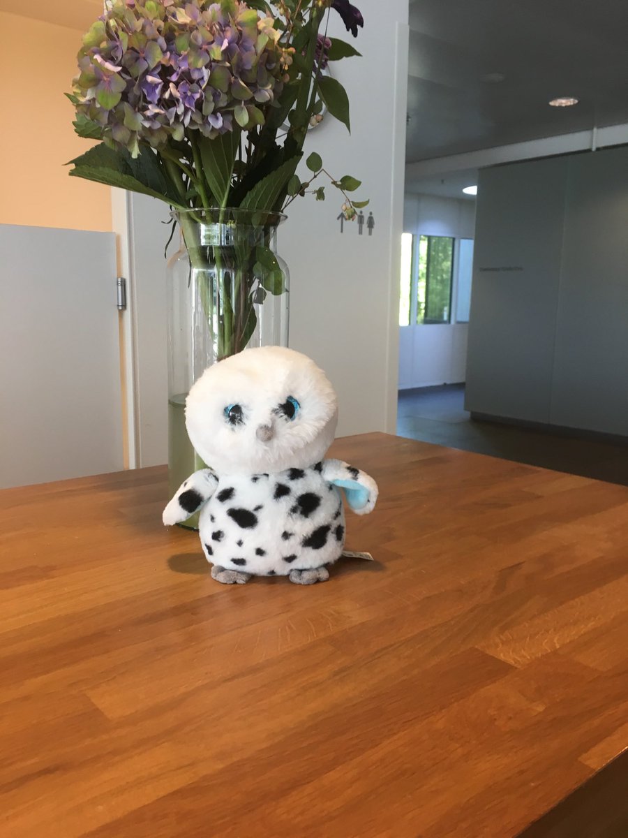 tweetingtweedie's tweet photo. Anyone recognise this little critter? Lost and found at our β¦@Aegonβ© conference centre in #denhaag. Safe, well, and quite a hoot! #insideaegon #owl #knuffle https://t.co/BDmkAP1rZZ