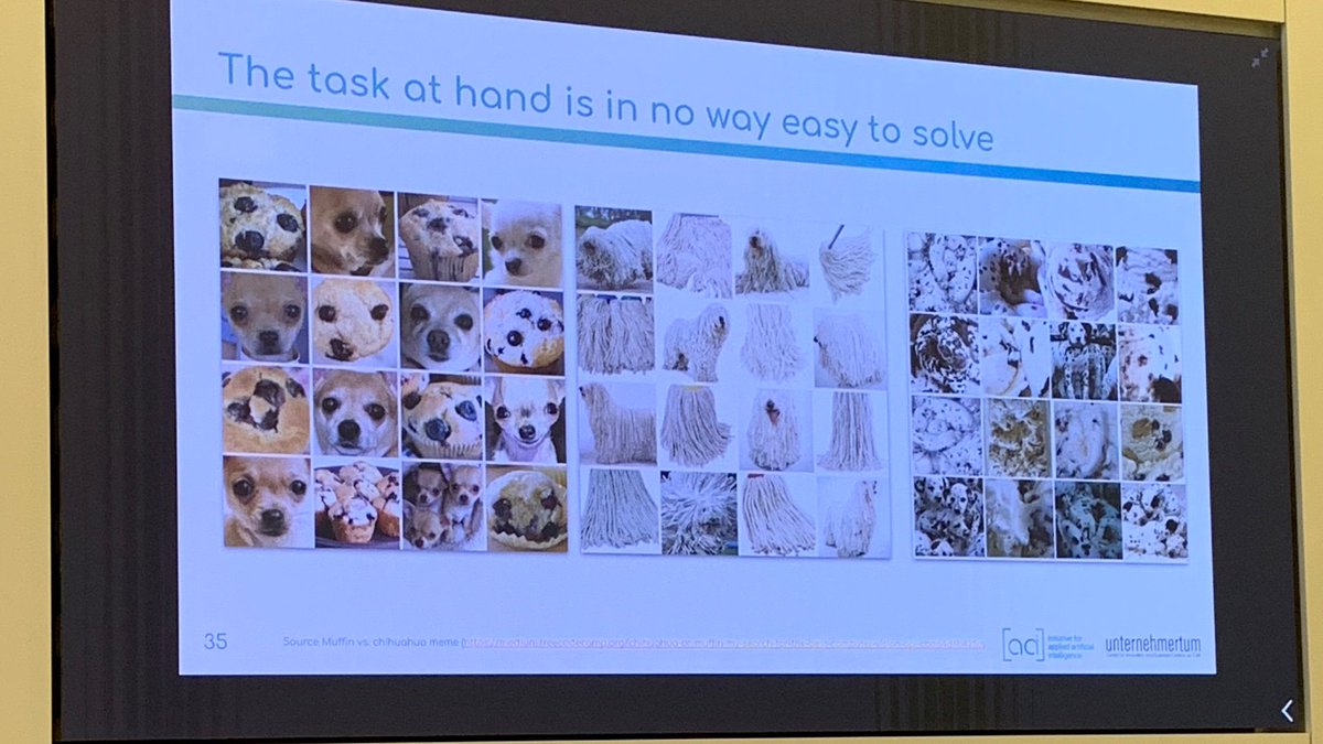 Ines Maria Stoegerer tweet media