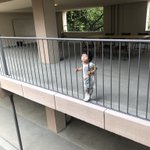 ツイートに含まれる画像