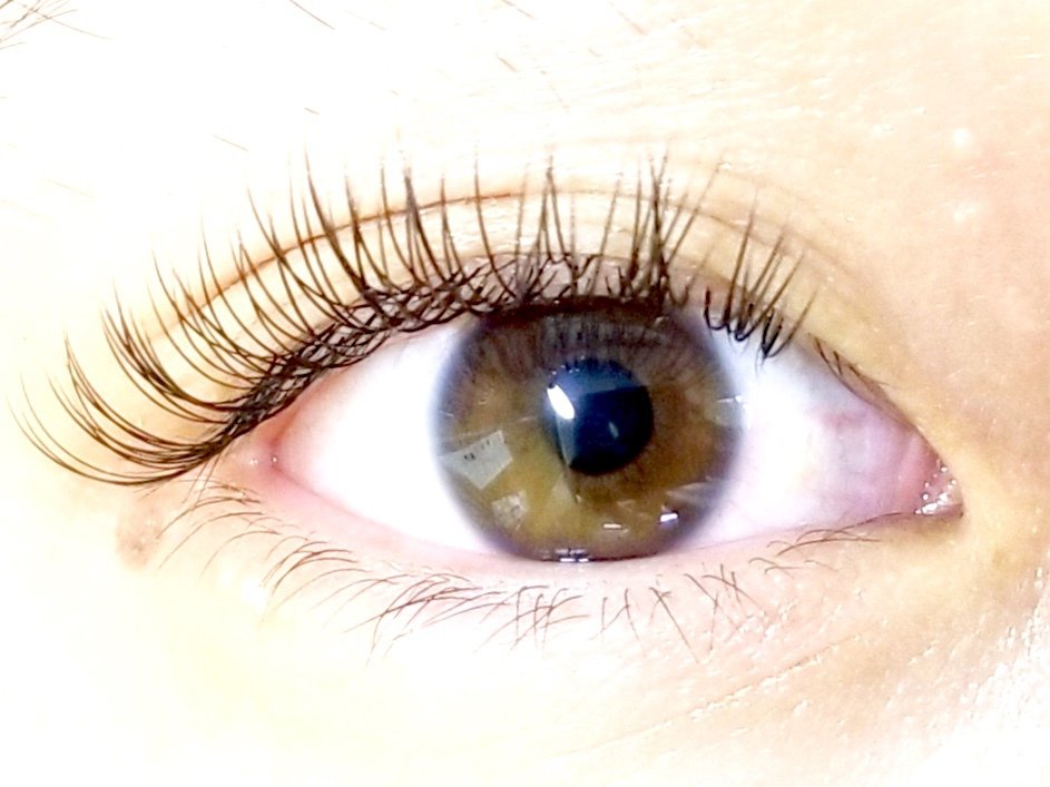 Mignon マツエク専門店 Mignon Eyelash Twitter Mignon マツエク専門店 Mignon Eyelash Twitter
