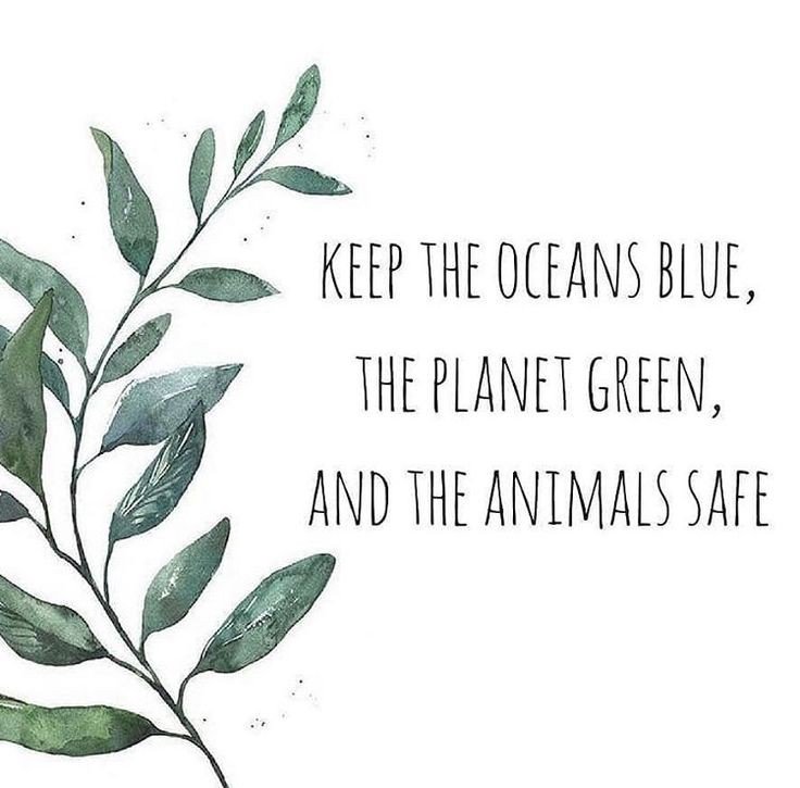 70cals_'s tweet image. 