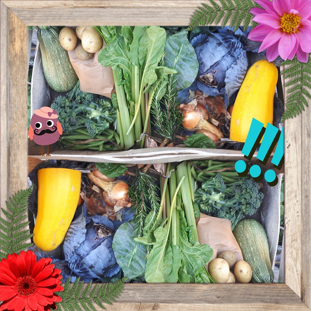 St_vrienden_S_H's tweet photo. Heb je een inkomensverklaring van de Gemeente Helmond meld je dan aan voor een Gezonde Groenten pakket🌿🌿🤩🤩🤩🌿🌿
Vers van het land, groenten / fruit van het seizoen, ecologisch geteeld, vers geplukt, en puur gezondheid.
Bij inschrijving zijn er ook andere voordelen. https://t.co/7I6EpAz9K9