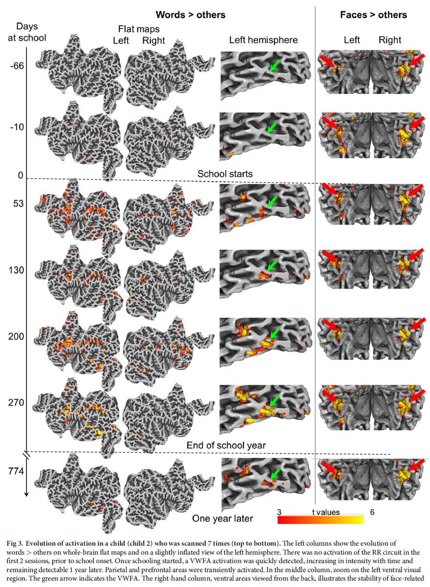 bioanalytische und biochemische
