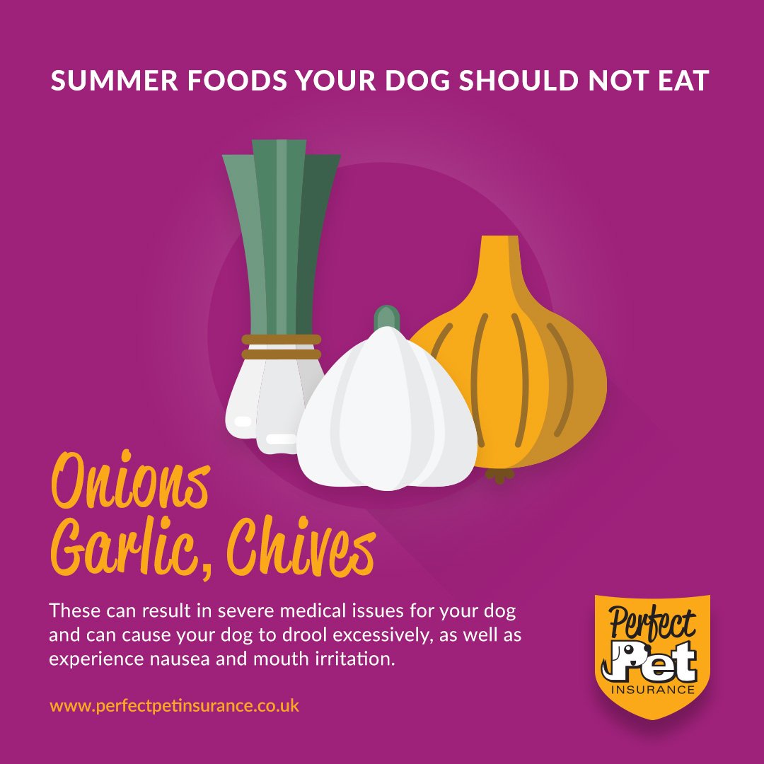 The #bankholiday is almost here  and the BBQ's are coming out 🎉

But before you share those burger leftovers with your #dog make sure that there are no onions, garlic or chives with it!