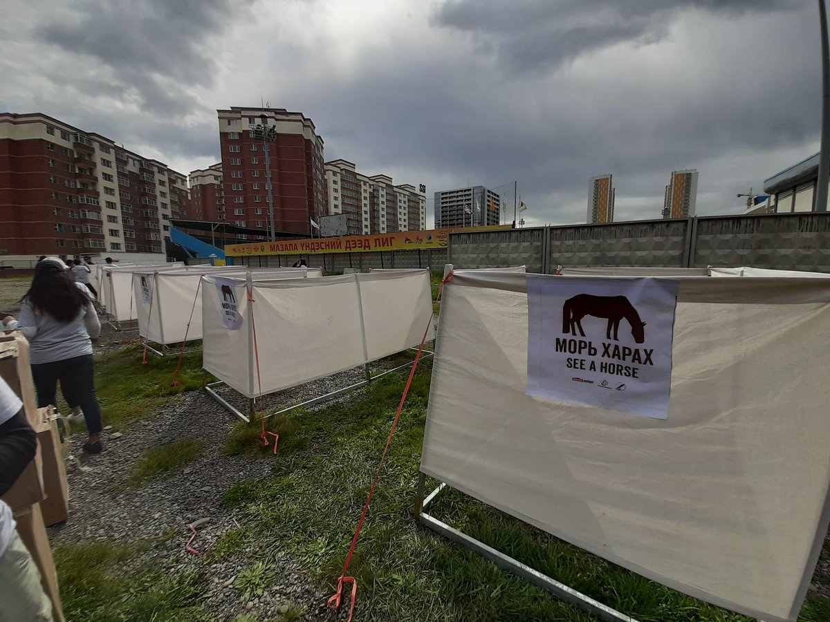 Хөвгүүд ээ өвс рүү морь харахаас бүү ичээрэй, хашаа руу шээхээсээ ичээрэй...XMF