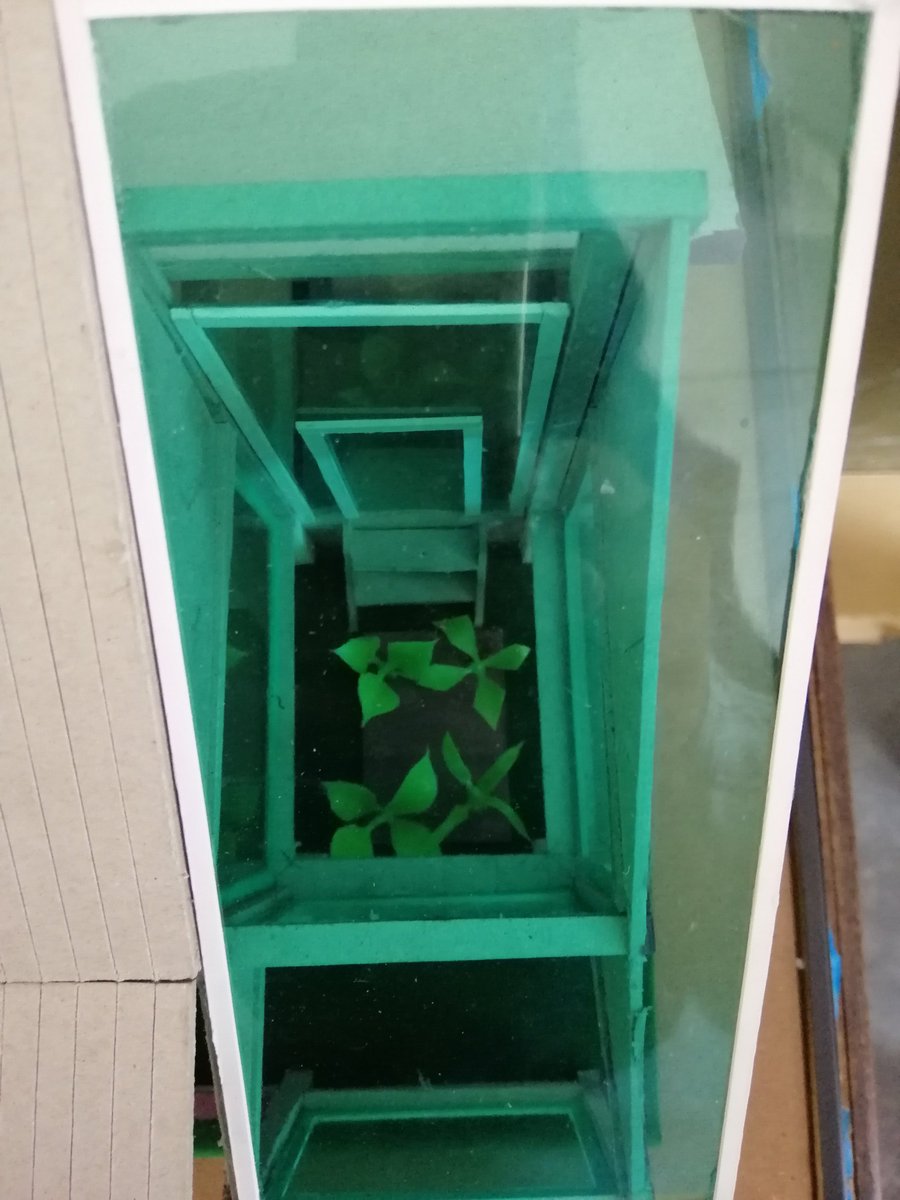 Gulekapash On Twitter Hasil Kerja Pelajar Form2 Subjek Sains Rumah Hijau Hasil Kerja Pelajar Form2 Subjek Sains