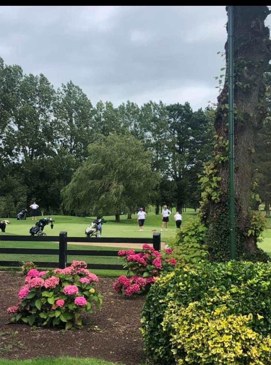 Courtown Golf Club tweet media
