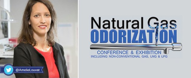 NaTran_RI's tweet photo. 📅 RV mardi 27.08 à Houston avec @AmelieLouvat pour la Natural Gas Odorization Conference #NGOC. Amélie présentera les nouveaux #challenges de l'#odorisation du #biomethane #gazrenouvelables, véritable enjeu pour la #TransitionEnergétique !
En savoir + 👉 https://t.co/dYHZQ2mUNe https://t.co/gEbROYC77l