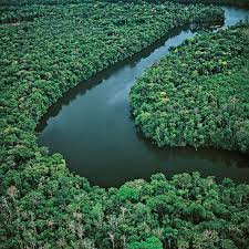 #PrayforAmazonia #PrayForTheAmazon