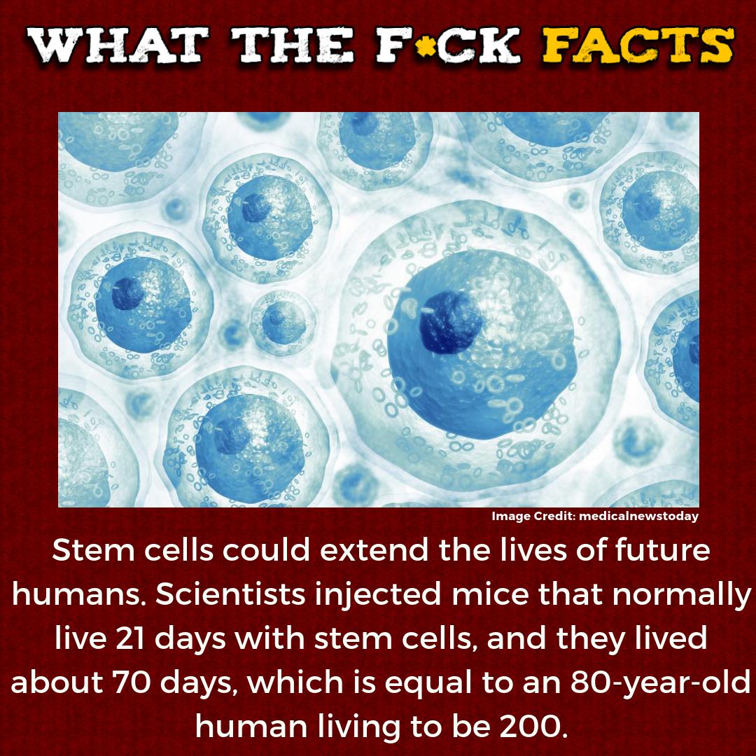 WhatTheFFacts's tweet photo. https://t.co/WLSjsXd13g