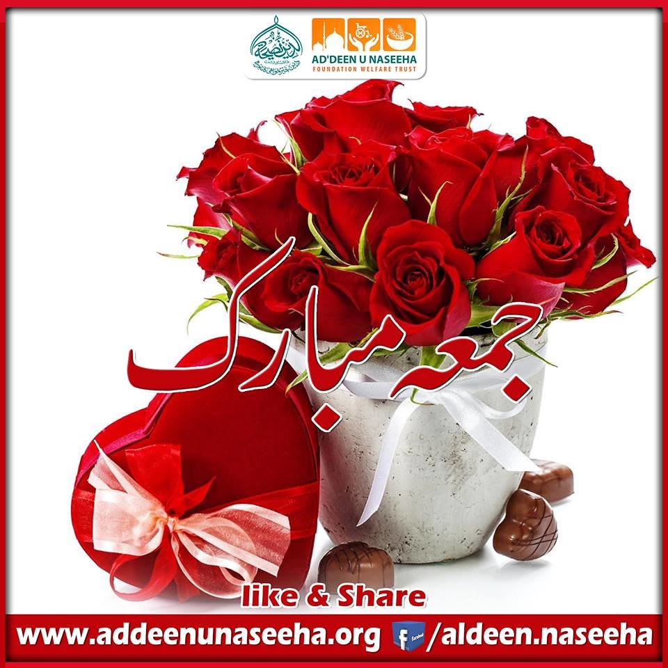 SyedJamalpnsc's tweet photo. @shereen1122 https://t.co/LIFAx40Gxd