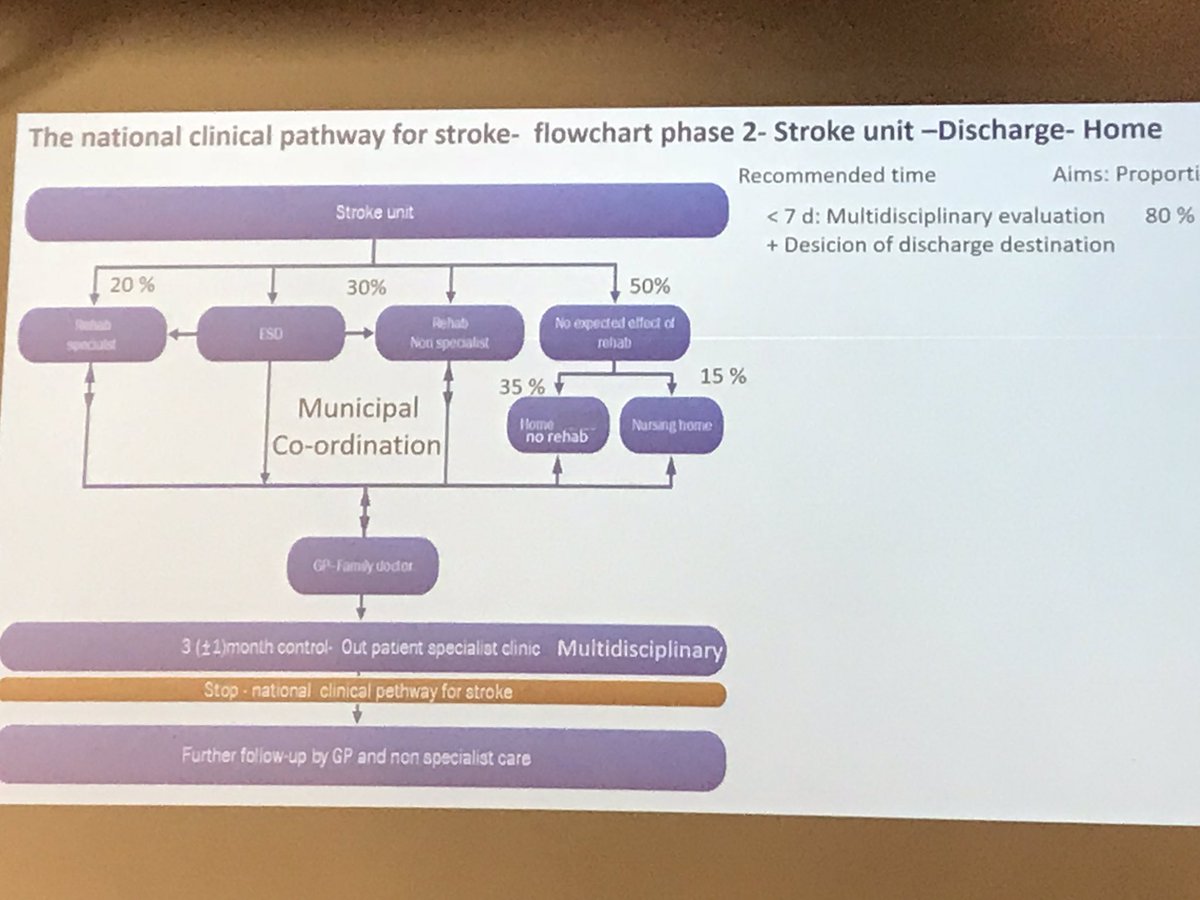 Nordic Stroke Congress Professor Bent Indredavik talking about clinical pathways in stroke care