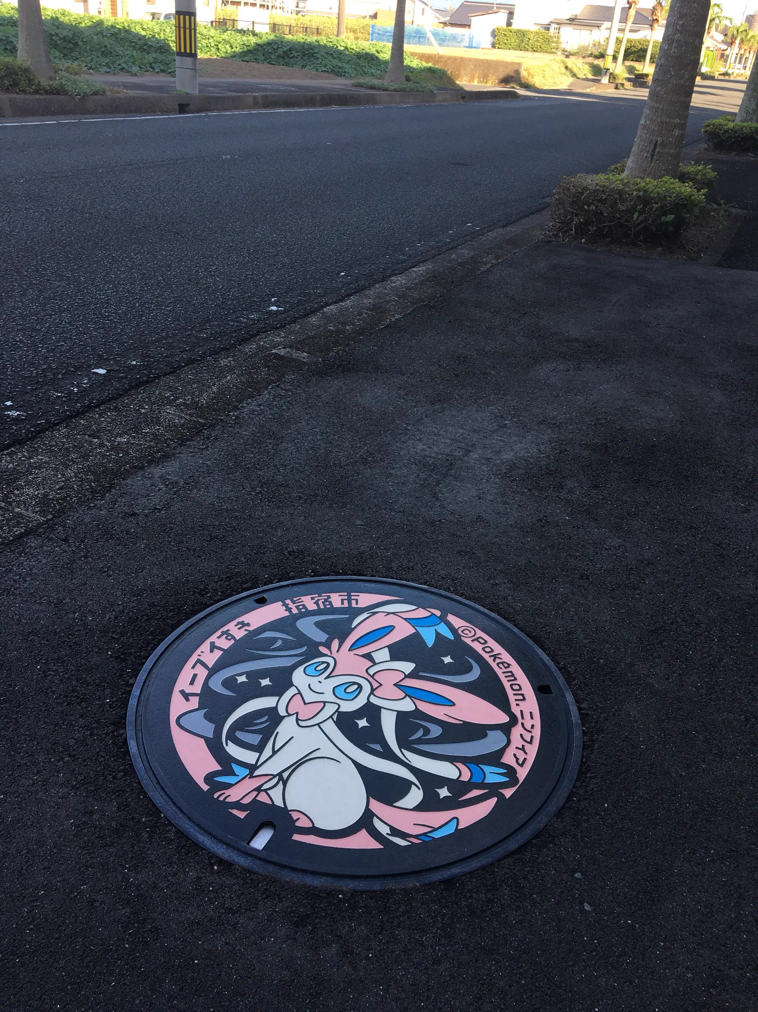 指宿にあるマンホールがイーブイとコラボで可愛すぎる！